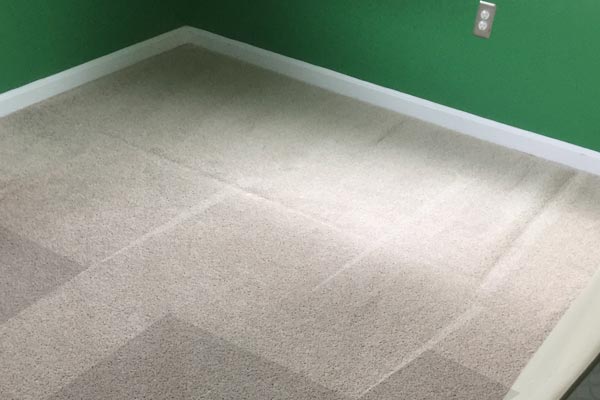 Steam Carpet Cleaning Miramar, Jacksonville